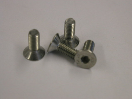 Disc securing screws