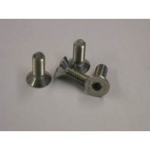 Disc securing screws