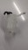 4 Cylinder Toyota Elise/Exige Coolant  Header Tank and Cap A120K6005S