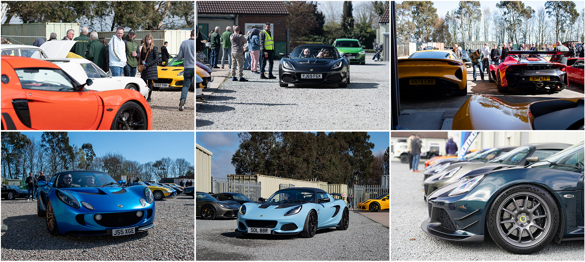 Seriouslylotus Open Day and Hog Roast 2025 Open Day 2025