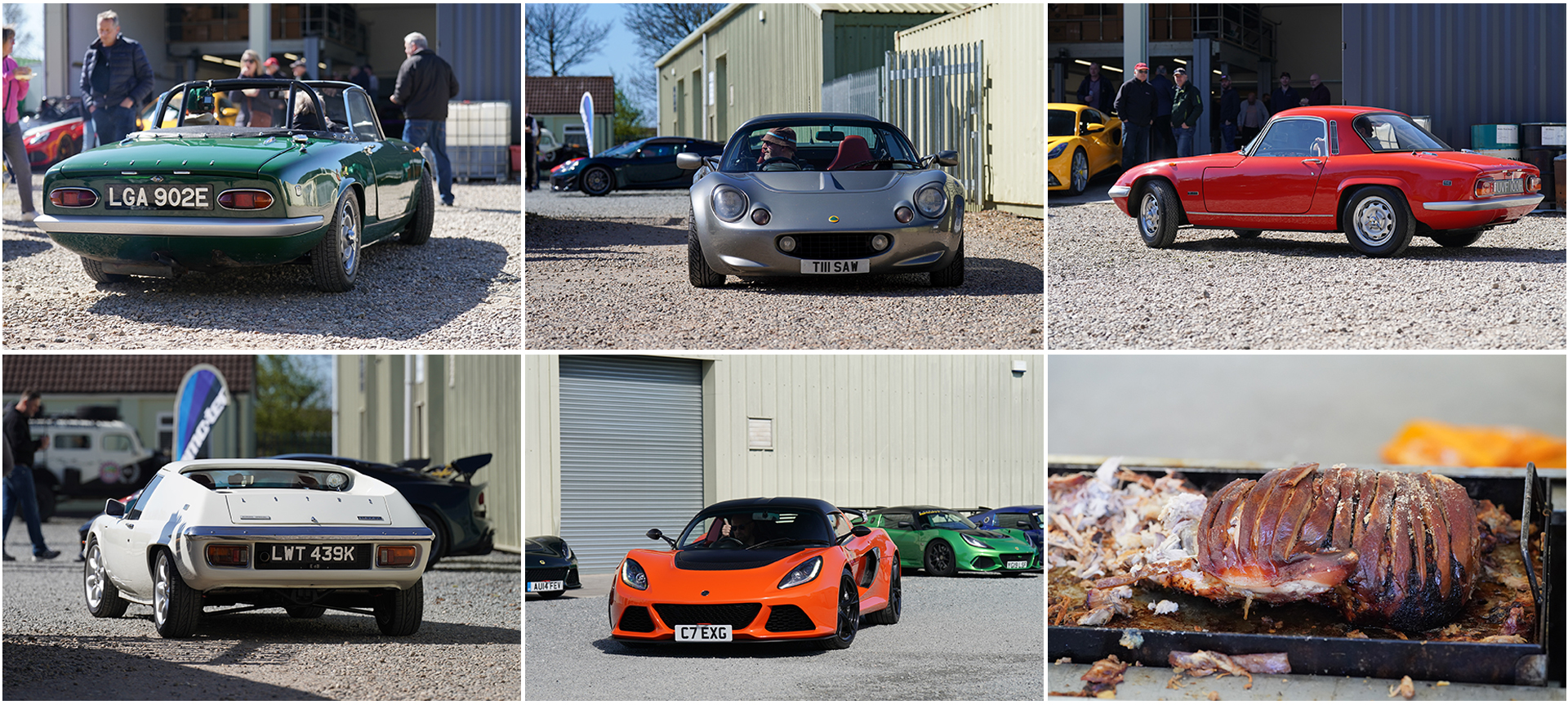 Seriouslylotus Open Day and Hog Roast 2025 Open Day 2025