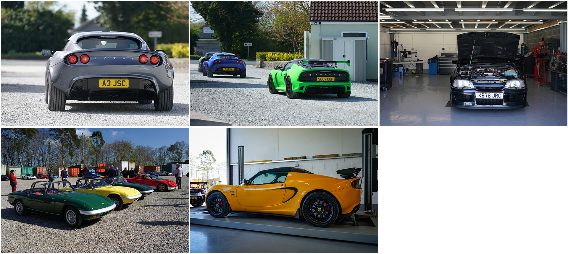 Seriouslylotus Open Day and Hog Roast 2025 Open Day 2025